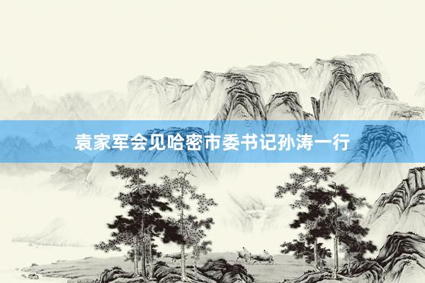 袁家军会见哈密市委书记孙涛一行