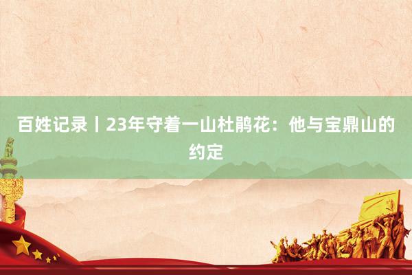 百姓记录丨23年守着一山杜鹃花：他与宝鼎山的约定