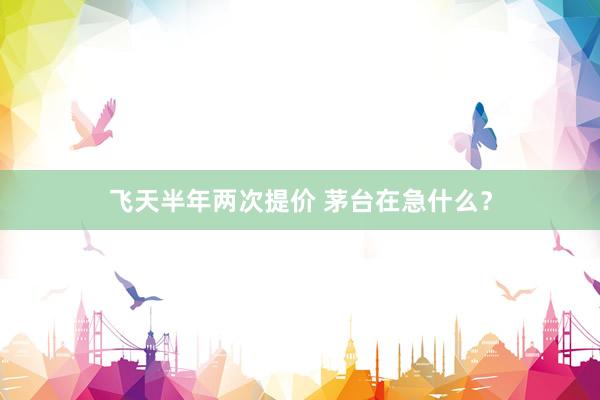飞天半年两次提价 茅台在急什么？