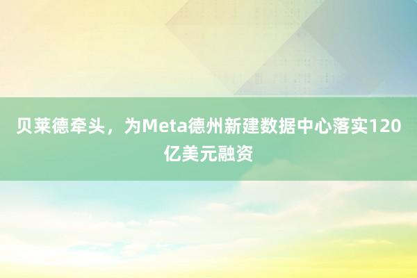 贝莱德牵头，为Meta德州新建数据中心落实120亿美元融资