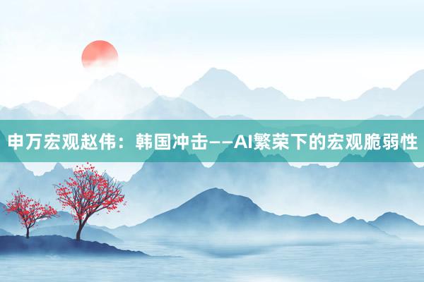 申万宏观赵伟：韩国冲击——AI繁荣下的宏观脆弱性