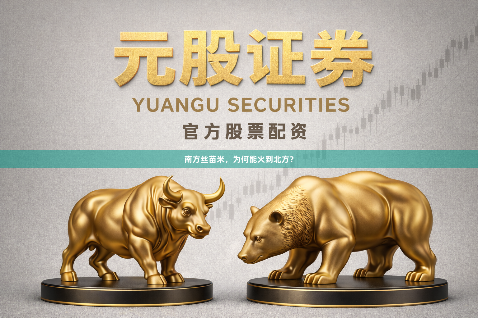 南方丝苗米,为何能火到北方?