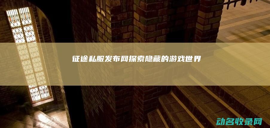 征途私服发布网 探索隐藏的游戏世界