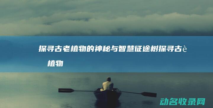 探寻古老植物的神秘与智慧 征途树 (探寻古老植物的前世今生新浪)