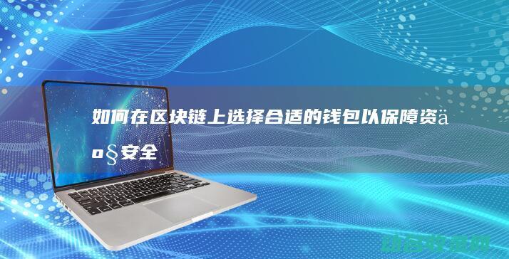如何在区块链上选择合适的钱包以保障资产安全 (如何在区块链上查钱包资产)