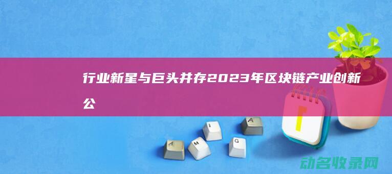 行业新星与巨头并存 2023年区块链产业创新公司排行榜 (行业新星与巨星的区别)