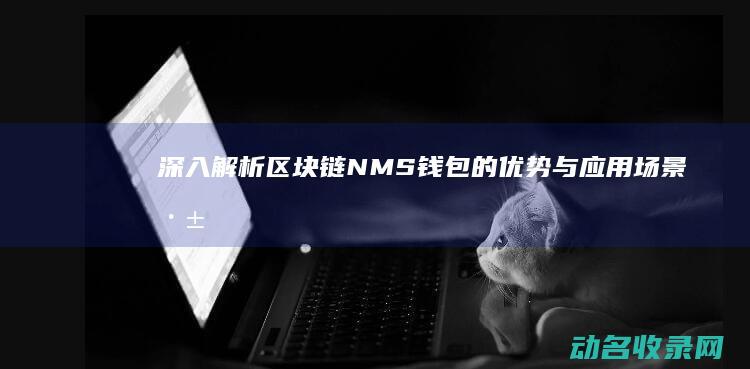 深入解析区块链NMS钱包的优势与应用场景 (深入解析区块链产业)