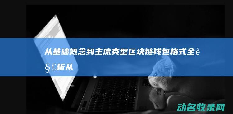 从基础概念到主流类型 区块链钱包格式全解析 (从基础概念到学术前沿,如何做好研究型教学)