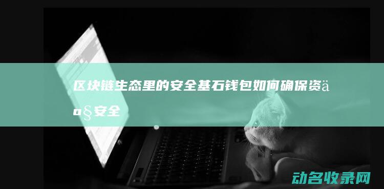 区块链生态里的安全基石 钱包如何确保资产安全 (区块链生态里包括什么)