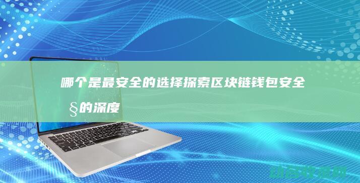 哪个是最安全的选择 探索区块链钱包安全性的深度对比 (哪个是最安全的)