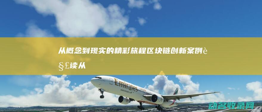 从概念到现实的精彩旅程 区块链创新案例解读 (从概念到现实的例子)